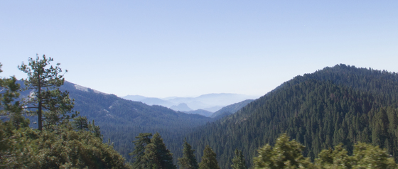 Sequoia National Park