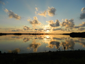 JN Ding Darling Wildlife Refuge 