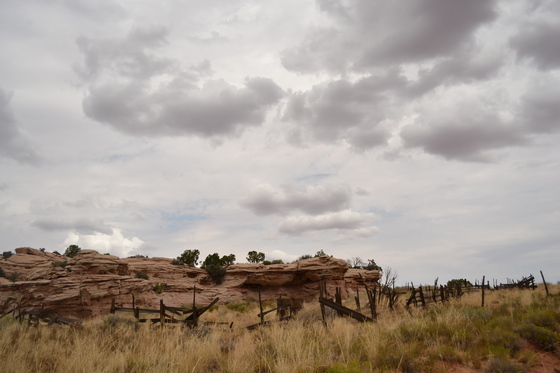 Canyonlands
