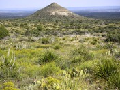 guadalupe national park