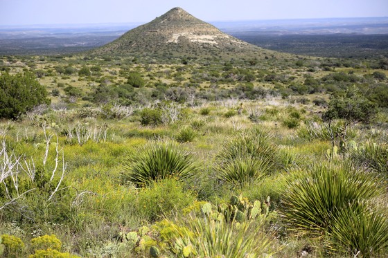 guadalupe national park