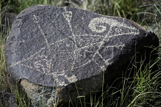 three rivers petroglyph site