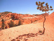 Bryce Canyon National Park