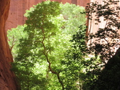 Capitol Reef