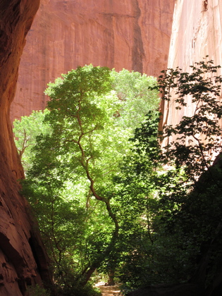 Capitol Reef