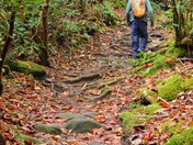 Smokey Mountains