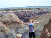 Petrified Forest