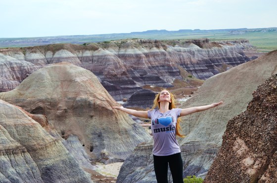 Petrified Forest
