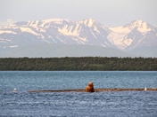 Katmai National Park