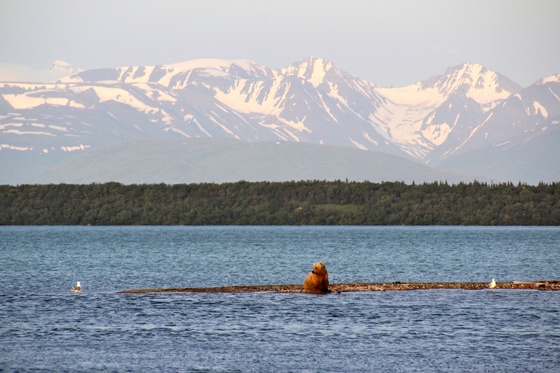Katmai National Park