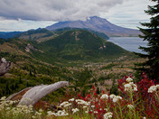 Mount St. Helen