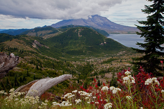 Mount St. Helen