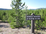 Yellowstone National Park