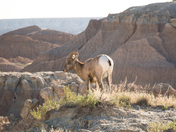 Badlands National Park
