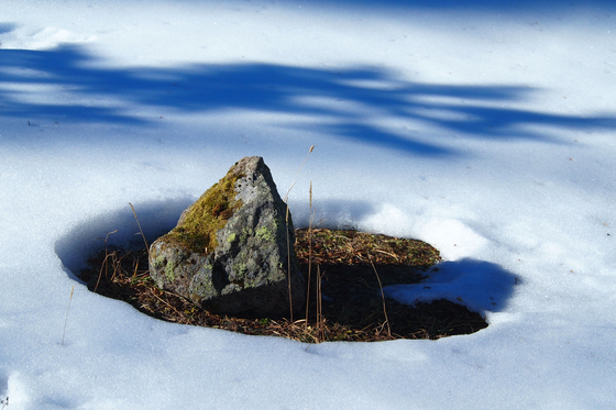 Buckhorn Wilderness