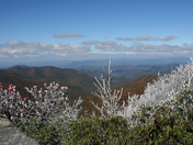 Blue Ridge Parkway
