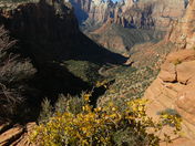 Zion National Park