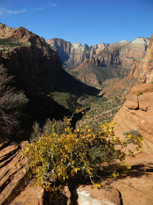 Zion National Park