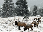Rocky Mountain National Park