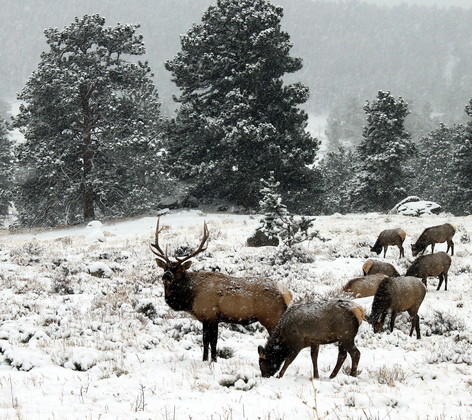 Rocky Mountain National Park