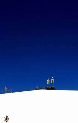White Sands National Park