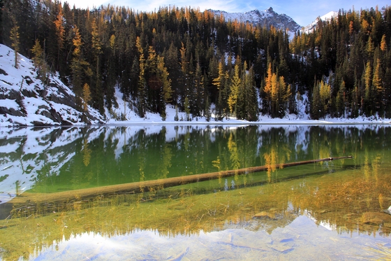 Wenatchee National Forest
