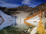 Wenatchee National Forest