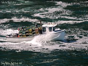 Lobster Fishermen