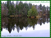 Margaret Bowater Park