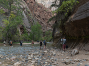 Zion National Park
