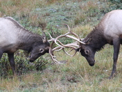 Rocky Mountain National Park