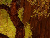 Capitol Reef National Park