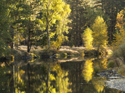 Yosemite National Park