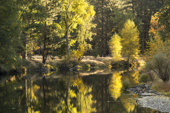 Yosemite National Park
