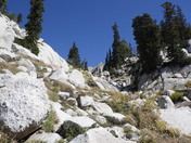 Uintah-Wasatch-Cache National Forest