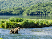 Katmai National Park