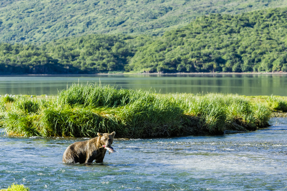 Katmai National Park