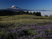 Goat Rocks Wilderness Area