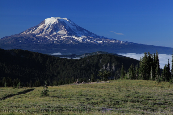 Goat Rocks Wilderness Area