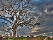 Gettysburg National Military Park