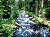 Roosevelt National Forest