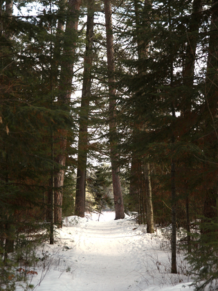 boundary waters canoe area wildness, minnesota