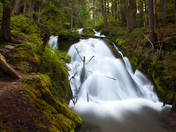 Mount Hood National Forest