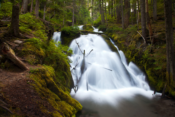Mount Hood National Forest