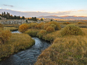 Inyo National Forest
