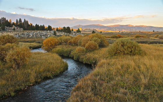 Inyo National Forest