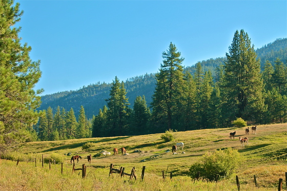 Sequoia National Forest