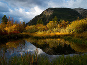 Waterton Fall 