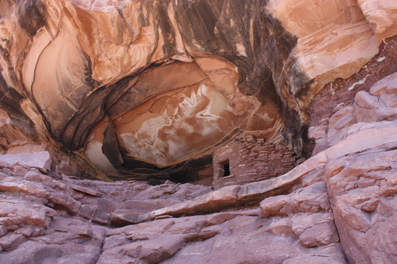 BLM, Road Canyon, Utah