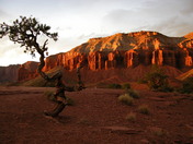 Capitol Reef National Park